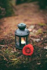 Halloween Picnic Wedding_Barbara&Luisa-91